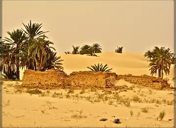 elghout