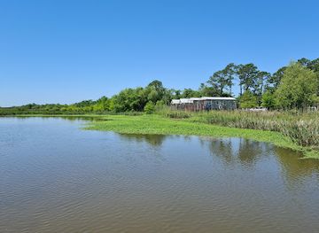 alabama/coastal-plain/attraction/meaher-state-park