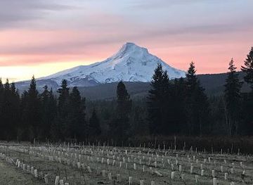 oregon/the-dalles/attraction/grateful-vineyard