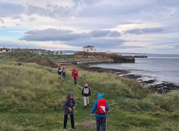 united-kingdom/northumberland-coast/attraction/hauxley-wildlife-discovery-centre
