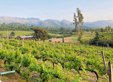 myanmar-burma/inle-lake/attraction/red-mountain-estate-vineyards-winery