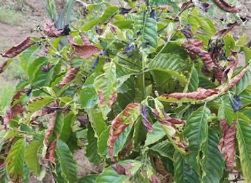 uganda/queen-elizabeth-national-park/attraction/bachwezi-rocks