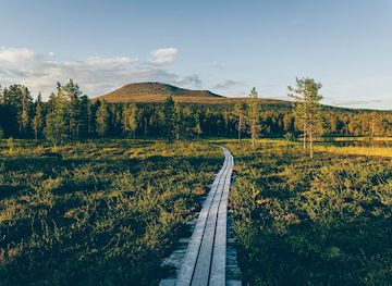 sweden/dalarna/attraction/idrefjall