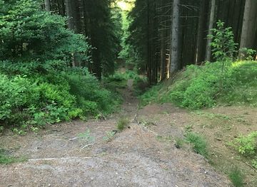 denmark/himmelbjerget/attraction/duedal-bjerg