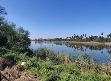 texas/rio-grande-valley/attraction/bentsen-rio-grande-valley-state-park