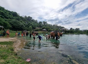 thailand/phuket-province/attraction/elephant-sanctuary-phuket