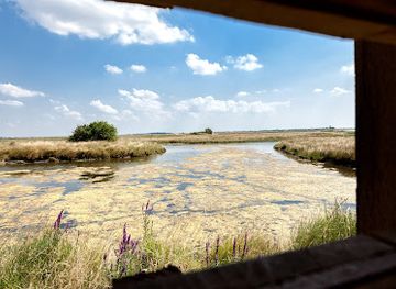 france/marais-poitevin/attraction/nature-reserve-michel-brosselin-saint-denis-du-payre