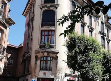 france/toulouse/attraction/musee-paul-dupuy