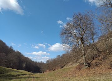 romania/banat/attraction/pestera-albastra-pietroasa