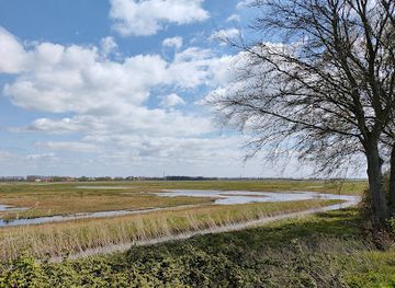 netherlands/noordoostpolder/attraction/schokkerbos