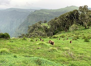 ethiopia/simien-mountains-national-park/attraction/semien-gebirge-nationalpark-eingang