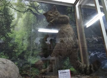 ukraine/tysovets/attraction/pryrodnychyy-muzey-chernivetskoho-natsionalnoho-universytetu-imeni-yuriya-fedkovycha