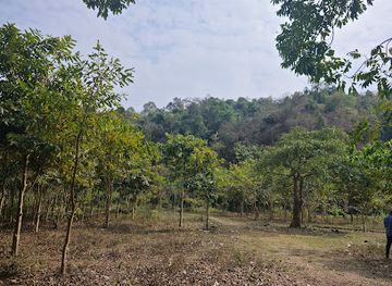 india/assam/attraction/urdhaganga-waterfall