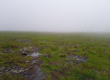 cameroon/banyang-mbo-wildlife-sanctuary/attraction/plateau-yeh-ngneuh