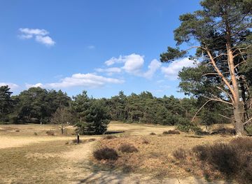 netherlands/gelderland/attraction/rozendaalse-zand