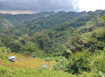 philippines/cebu-city/attraction/sudlon-national-park