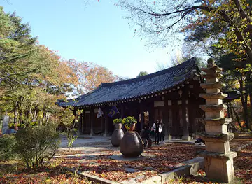 The Song Museum