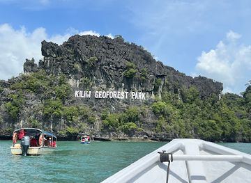 malaysia/langkawi-archipelago/attraction/mangrove-discovery-and-activity-in-langkawi-island