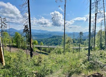 slovakia/kysuce/attraction/hojdacka-pod-mrvovou-kykulou