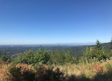 washington/western-washington/attraction/squak-mountain-state-park-natural-area
