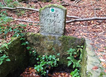 hungary/pilis-mountains/attraction/miklos-forras