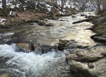 maryland/cunningham-falls-state-park/attraction/manor-area-visitor-center