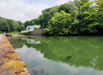 ireland/kinsale/attraction/scilly-bog