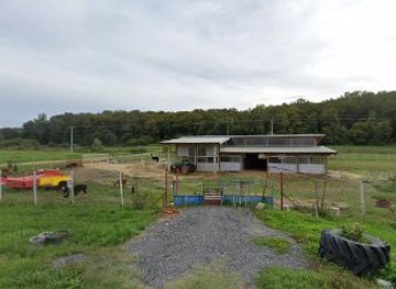 croatia/podravina/attraction/alpaka-farm