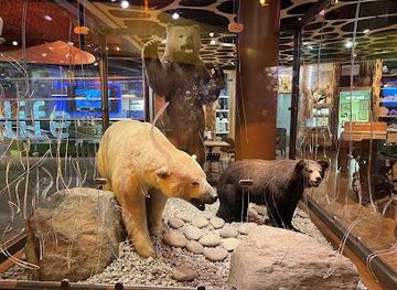 south-carolina/fort-mill/attraction/discovery-place-science