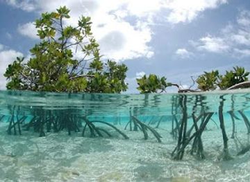 the-bahamas/inagua/attraction/inagua-national-park