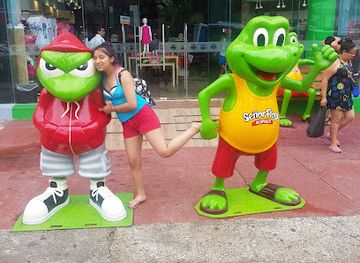 mexico/costa-chica/attraction/condesa-beach