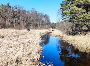 poland/masovia/attraction/kampinos-national-park
