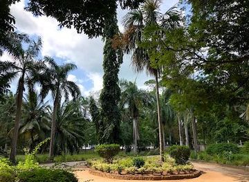 tanzania/dar-es-salaam/attraction/botanical-garden