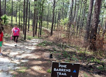 Weymouth Woods - Sandhills Nature Preserve