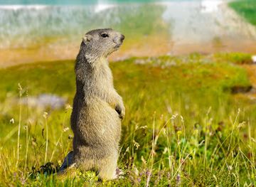 france/courchevel/attraction/aventure-survie