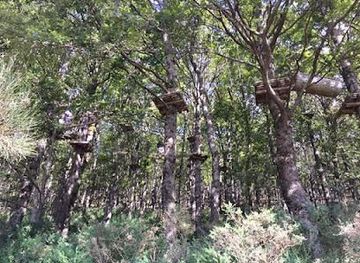 italy/taormina/attraction/nebrodi-adventure-park