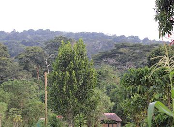 uganda/kigezi/attraction/mpanga-nature-center