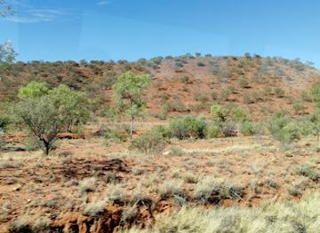 australia/red-centre/attraction/camels-australia