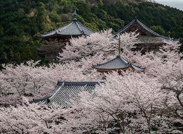 japan/nara/attraction/tsubosakadera