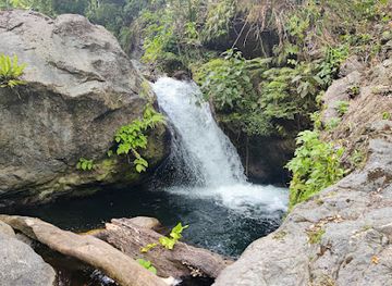 jamaica/port-antonio-area/attraction/springhill-falls