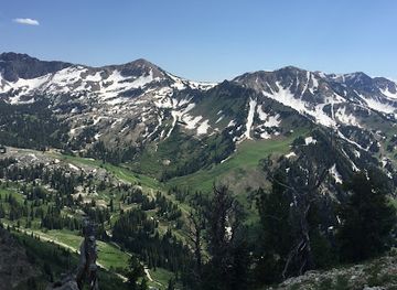 utah/snowbird/attraction/alta-brighton-trailhead