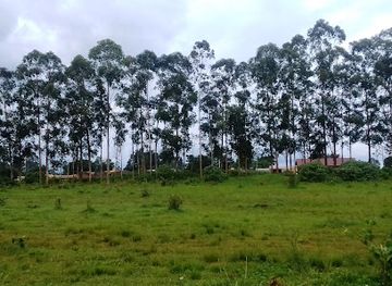 cameroon/ngaoundere/attraction/espace-vert-de-manwi