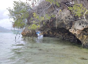 mauritius/flacq/attraction/sirena-cruise