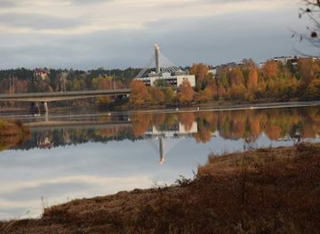 finland/rovaniemi/attraction/rotarypuisto-revontulilaavu