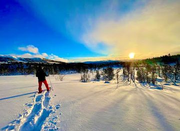 norway/rauland/attraction/lisebu