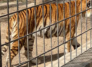 Zoo - Zawraa Park