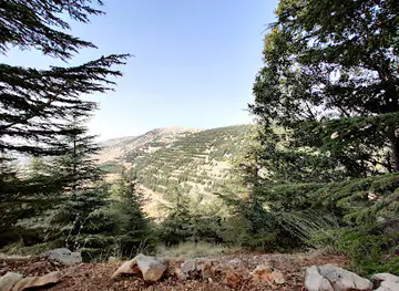 Shouf biosphere reserve/ Entrance to the Barouk Cedar forest