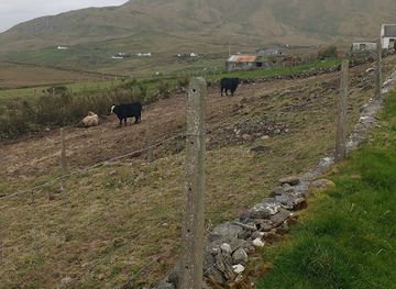 ireland/croagh-patrick/attraction/clare-island-abbey