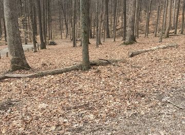 indiana/morgan-monroe-state-forest/attraction/scout-ridge-nature-preserve