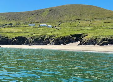 ireland/dingle/attraction/fungie-the-dingle-dolphin